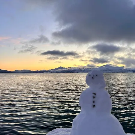 Arctic Fjord House - Fjord View, Sauna, Hot Tub Villa